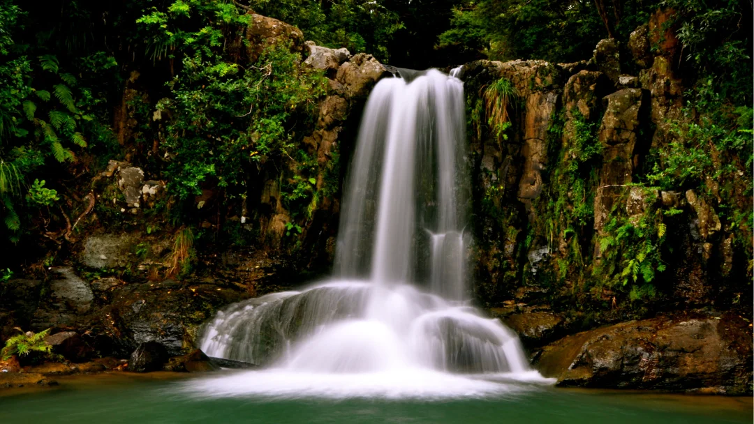 Your Life seems PERFECT. Why on Earth do you Want to Leave?